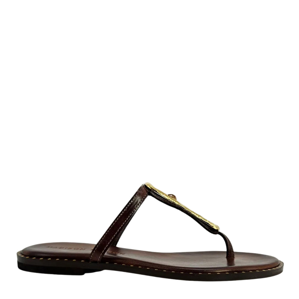 Brown leather flat thong sandal with gold hammered link buckle and stitched edge