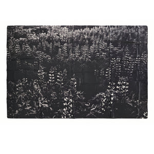Black White Lupine Silk Scarf