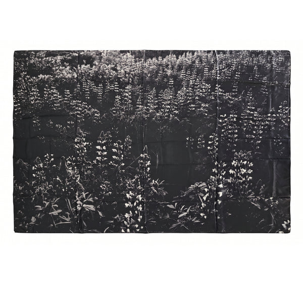 Black White Lupine Silk Scarf