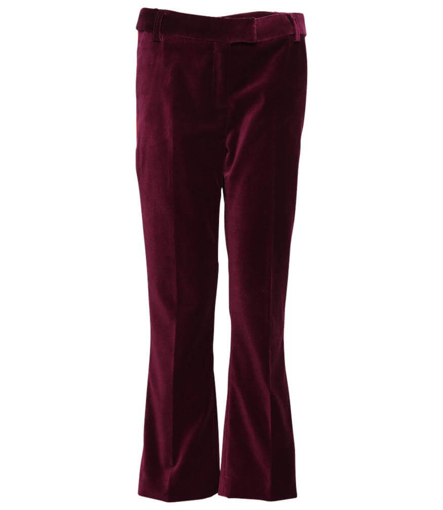 Violet chino pants with belt loops, button closure, and flared legs