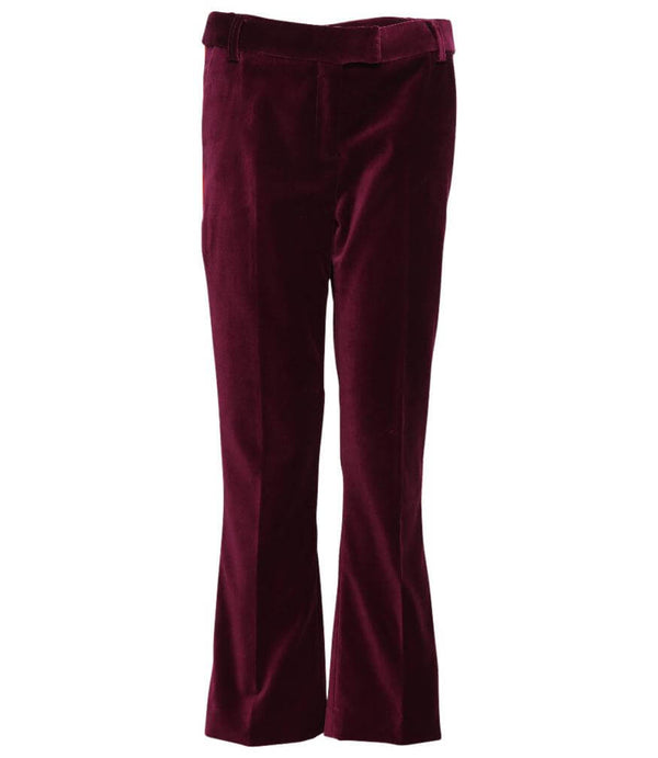 Violet chino pants with belt loops, button closure, and flared legs