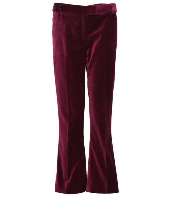 Violet chino pants, front view, belt loops and flared straight legs